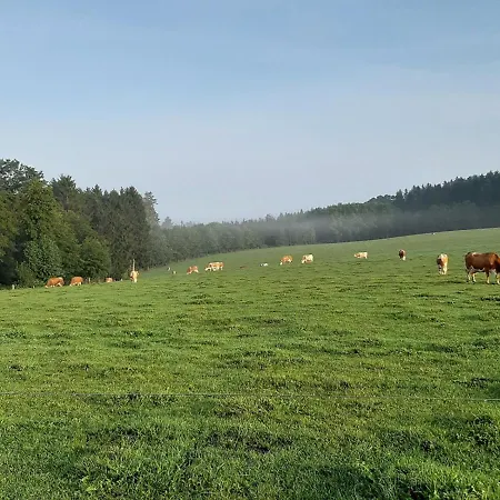 Rottaler - Rottaler Oachkatzl شقة Rossbach (Rottal-Inn)