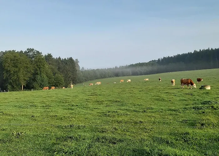 Rottaler - Rottaler Oachkatzl Apartamento Rossbach (Rottal-Inn)